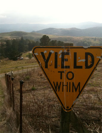 Yield to Whim
